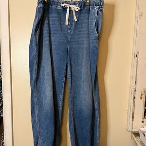 Lane Bryant Blue Denim Wide Leg Trousers